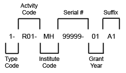 NIH grant number components.