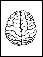 illustration of brain image used when no staff photo is available