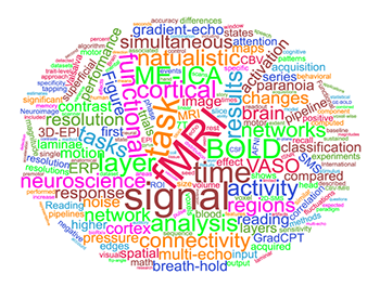 a cloud of loosely organized words related to functiona imaging methods, including fMRI, signal, cortical, neuroscience, and others