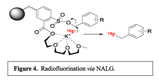 Figure 4: Radiofluorination via NALG.