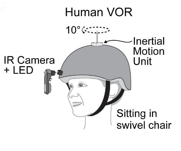 A drawing of the eye-tracking helmet worn by child participants in the study. Credit: Wang et. al., 2024, Neuron.