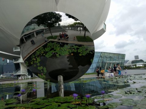 SFIM Lab sub-group photo shot in mirror at Organization for Human Brain Mapping conference in Singapore