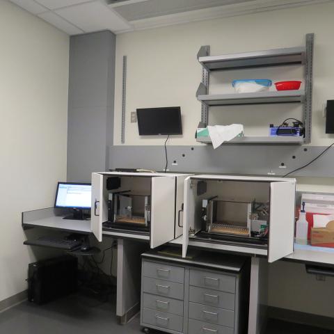 The behavioral test room equipped with computer automated touchscreen operant chambers to test cognition in rats. One computer runs two chambers, independently. Monitors on the wall track the animals’ behavior during testing