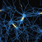 Illustration of neuronal connections.